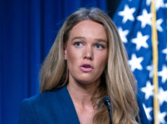 ICE deteve criança de 5 anos para mantê-lo aquecido, diz fantoche do DHS ICE deteve criança de 5 anos para mantê-lo aquecido, diz fantoche do DHS