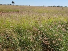 Imposto sobre terras para investimentos estrangeiros força Gina Rinehart a vender propriedades em Qld Imposto sobre terras para investimentos estrangeiros força Gina Rinehart a vender propriedades em Qld