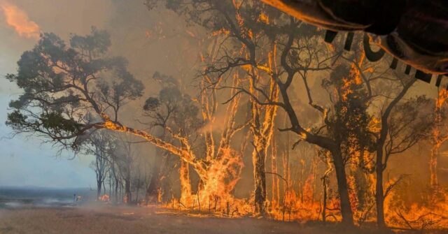 Incêndios florestais em Victoria podem durar semanas, alerta especialista
