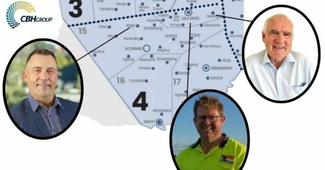 Indicados de Lake Grace, Newdegate e Wagin disputam cargo no conselho da cooperativa de grãos
