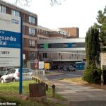 O relatório de um legista sobre a morte de Matilda Pomfret-Thomas concluiu que a presença de uma doula durante o trabalho de parto teve um “impacto negativo” na forma como as parteiras aconselharam sua mãe e prestaram cuidados (foto de arquivo do Hospital Queen Alexandra, onde a menina nasceu)