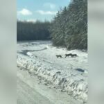 Ícone de conversão de texto em fala