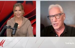 James Woods rasga Don Lemon de forma colorida por causa do relatório de protesto do ICE: ‘Dingleberry da bunda do jornalismo americano’ | Vídeo Jogar