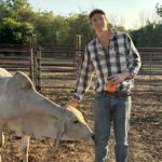 Jovem cientista pecuário ajuda a pesquisar alimentação sustentável para gado em Kimberley