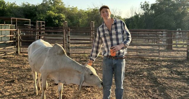 Jovem cientista pecuário ajuda a pesquisar alimentação sustentável para gado em Kimberley
