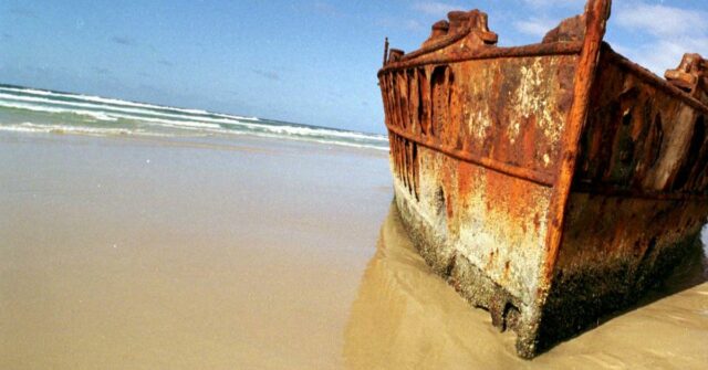 Jovem encontrada morta na praia de Queensland enquanto a polícia investiga um possível ataque de dingo
