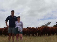 Jovens agricultores entusiasmados com o futuro, aliando tradição e inovação Jovens agricultores entusiasmados com o futuro, aliando tradição e inovação