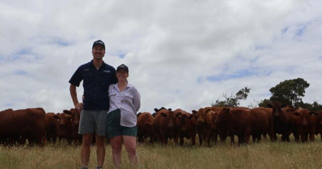 Jovens agricultores entusiasmados com o futuro, aliando tradição e inovação
