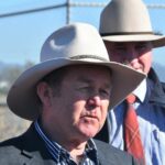 Littleproud 'tem os números': MPs do Nats pegos de surpresa pelo desafio de Boyce