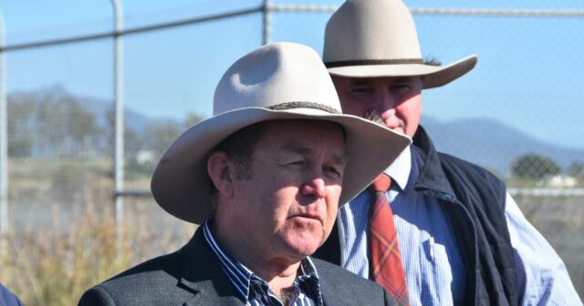 Littleproud 'tem os números': MPs do Nats pegos de surpresa pelo desafio de Boyce
