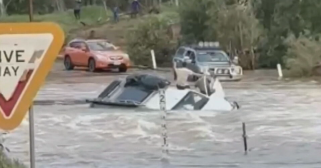 Mais de 16.000 animais perdidos à medida que os níveis de enchentes continuam aumentando no norte de Queensland
