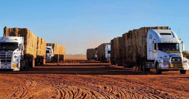 Mais do que feno: a caminhada de 1.000 km trazendo esperança aos pastores do norte
