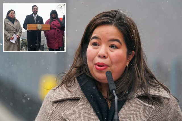 Tricia Shimamura, Comm. de Novos Parques, falando em entrevista coletiva.