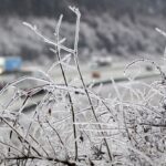 Mapa de tempestades de inverno mostra cidades que podem ser mais atingidas: 'catastróficas'