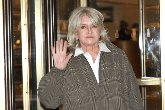 Google Preferred Source Banner