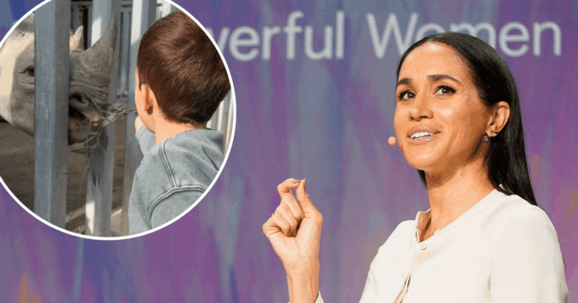 Álbum de bebê Baby-Sussex