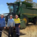 'Melhor temporada já registrada' destaca o dilema qualidade versus rendimento em Yuna