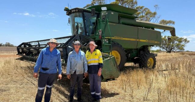 'Melhor temporada já registrada' destaca o dilema qualidade versus rendimento em Yuna
