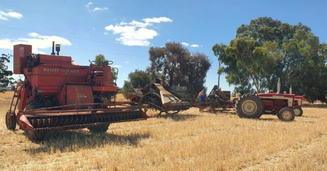 Membros do Tracmach se preparam para seu dia anual de demonstração da colheita de Wagin
