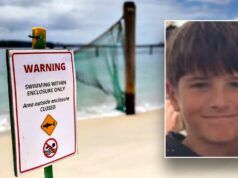 Menino de 12 anos morre após ataque de tubarão enquanto nadava em um popular local de salto de penhasco: ‘Estamos com o coração partido’ Menino de 12 anos morre após ataque de tubarão enquanto nadava em um popular local de salto de penhasco: 'Estamos com o coração partido'