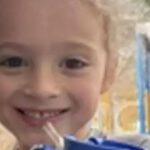 Menino de 13 anos encontrado morto por aparente ataque de animal, vizinho é preso