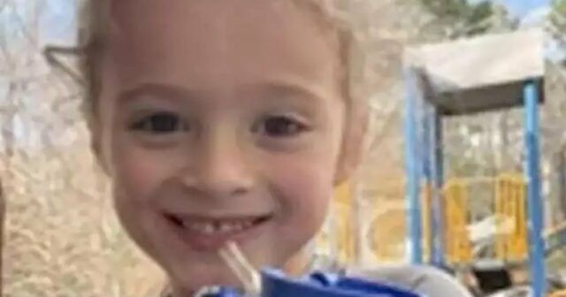 Menino de 13 anos encontrado morto por aparente ataque de animal, vizinho é preso