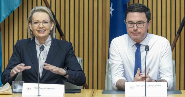 Menos poder, menos salários: os deputados nacionais enfrentam a realidade da vida sem a Coligação
