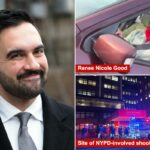 Michael Goodwin: Nova York está em grave perigo com as políticas antipoliciamento do prefeito Mamdani