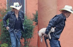 Mickey Rourke se hospeda em um hotel em West Hollywood com um cachorro em meio a ameaça de despejo Mickey Rourke parecendo frágil nas costas