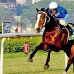 Miss American Pie para o Troféu Mulraj Goculdas