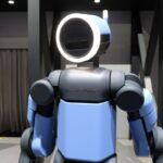 gato piscante pássaro verde