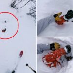 Momento emocionante, esquiador resgata homem soterrado por uma avalanche - depois de avistar um membro saindo da neve