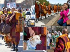 Monges budistas – e seu filhote – persistem na caminhada pela paz nos EUA, apesar dos ferimentos Monges budistas – e seu filhote – persistem na caminhada pela paz nos EUA, apesar dos ferimentos