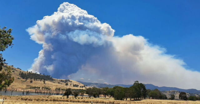 O fogo está se movendo dentro do Parque Nacional Mt Lawson.