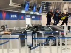 Motorista bate no terminal do Aeroporto Metro de Detroit – levado pela polícia em cena chocante Um sedã preto bateu no balcão de check-in da Delta no Terminal McNamara do Aeroporto Metro de Detroit.