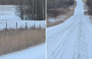 Motorista captura vídeo impressionante de predador selvagem saltando pela estrada: ‘Lindo’ Yahoo news home