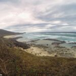 Uma mulher canadense foi encontrada morta cercada por dingos em K'gari