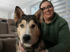 Mulher de BC pede aos donos de cães que observem seus animais de estimação em caminhadas após overdoses de cocaína Mia Ribeck é uma mulher branca com uma touca preta da Hello Kitty com um pom pom no topo. Ela está vestindo uma parca preta e botas de borracha de cano alto. Ela está agachada ao lado de sua cadela Greta, uma grande Doberman preta.