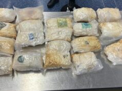 Mulher de Sydney acusada após supostamente tentar contrabandear US$ 36 milhões em metanfetamina Mulher de Sydney acusada após supostamente tentar contrabandear US$ 36 milhões em metanfetamina