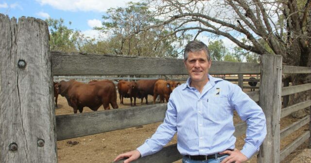 NFF nomeia novo executivo-chefe enquanto o setor agrícola enfrenta dificuldades nas reformas
