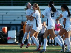 ‘Não estamos aqui para jogar’: St. Francis reafirma a supremacia, superando Mitty graças a dois gols no primeiro tempo 'Não estamos aqui para jogar': St. Francis reafirma a supremacia, superando Mitty graças a dois gols no primeiro tempo