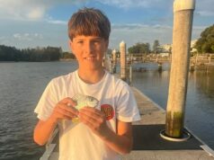 Nico Antic: atualização comovente sobre menino que foi atacado por um tubarão Nico Antic: atualização comovente sobre menino que foi atacado por um tubarão