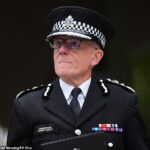 Mike Rowley (foto): Nosso modelo de policiamento atual foi construído para a década de 1960 e foi ampliado além do que pode suportar