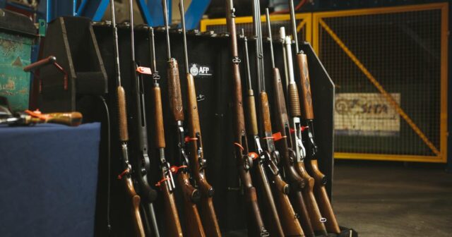 Novas leis sobre armas a caminho após reformas sobre armas de fogo limparem ambas as casas em um dia
