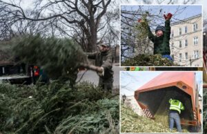 Número de árvores de Natal recicladas na queda do ‘Mulchfest’ de Nova York, a culpa pode ser da inflação das árvores Número de árvores de Natal recicladas na queda do 'Mulchfest' de Nova York, a culpa pode ser da inflação das árvores