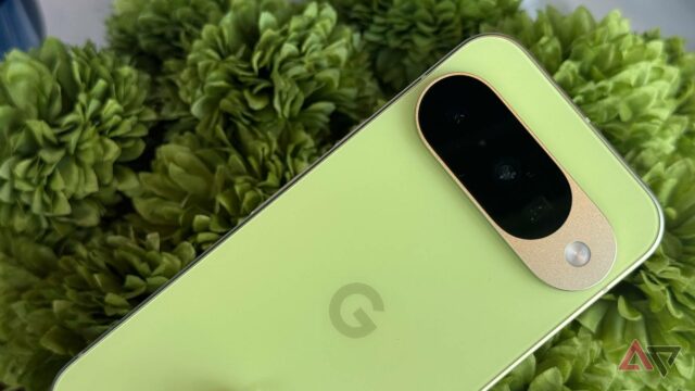 Google Pixel 10 resistiu a um bordo japonês