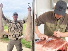 O apresentador do ‘MeatEater’ explica como obter ‘a comida mais saudável’ O apresentador do 'MeatEater' explica como obter 'a comida mais saudável'