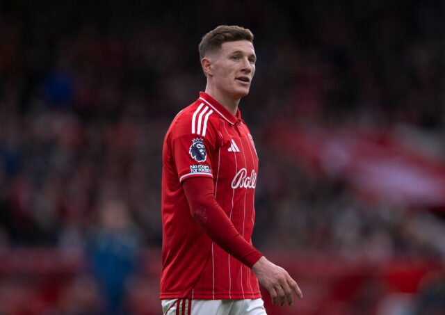 Carlos Baleba joga no Brighton