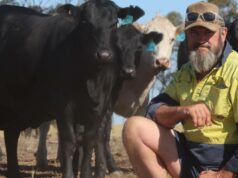 O aumento do número de criadores faz parte do quadro geral deste produtor O aumento do número de criadores faz parte do quadro geral deste produtor