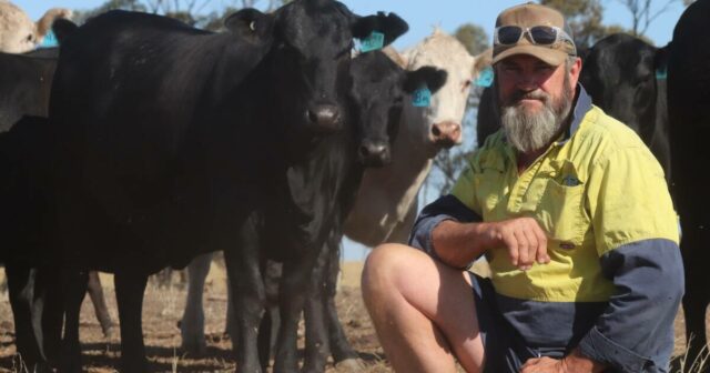O aumento do número de criadores faz parte do quadro O aumento do número de criadores faz parte do quadro geral deste produtor